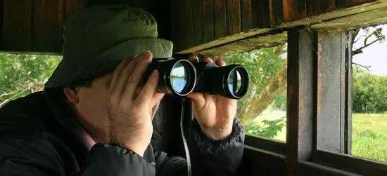 10x42 Binoculars