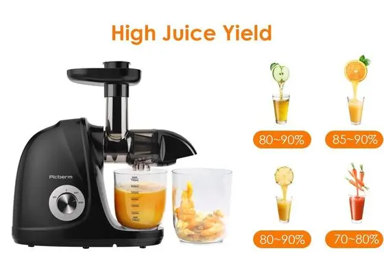 Picberm Masticating Juicer Machine