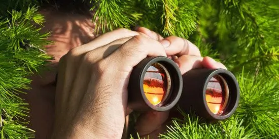 Safari Binoculars