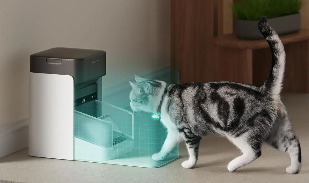 Cat Food Dispenser On Floor