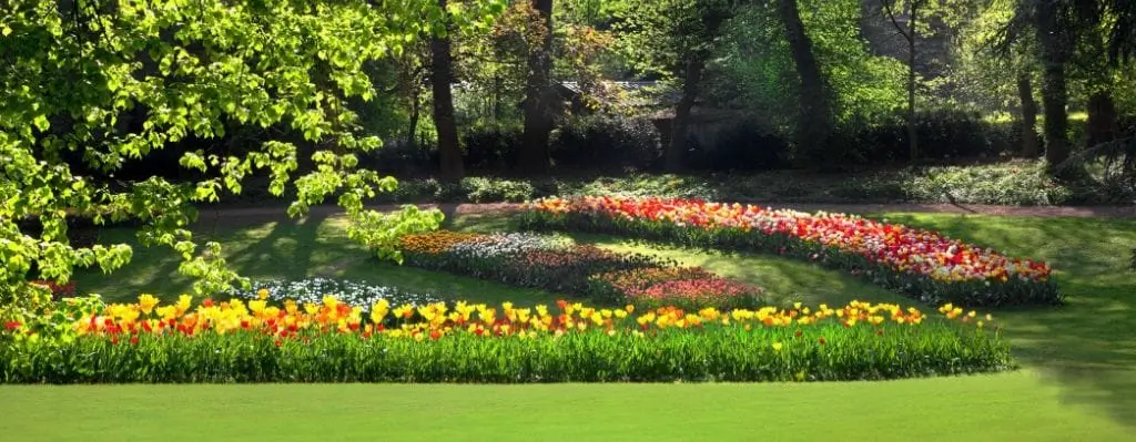 Summertime Pristine Garden