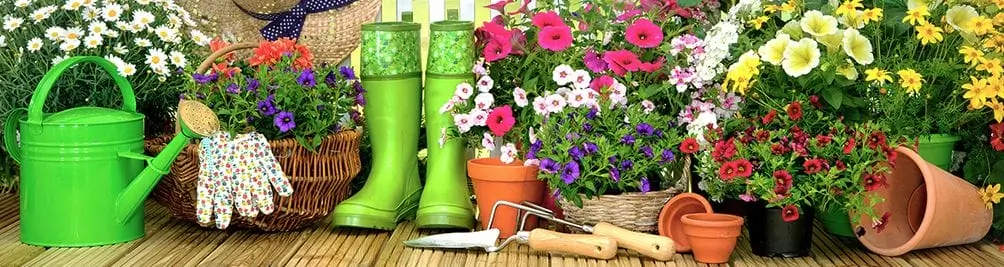 Colourful Garden Accessories