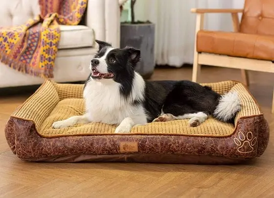 AcornPets Large Dog Bed In Brown