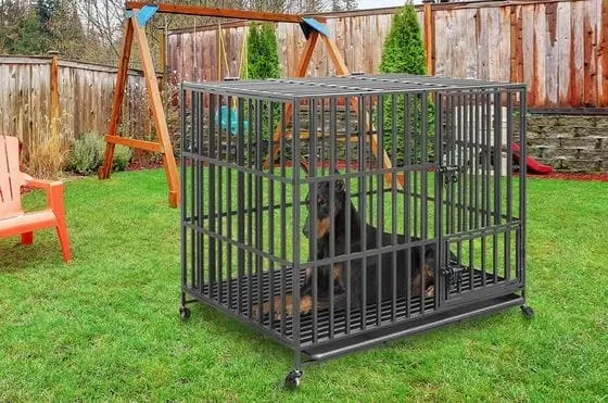 Big BingoPaw Dog Crate In Steel