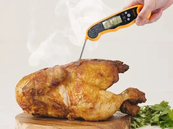 DEISS PRO Food Probe Thermometer