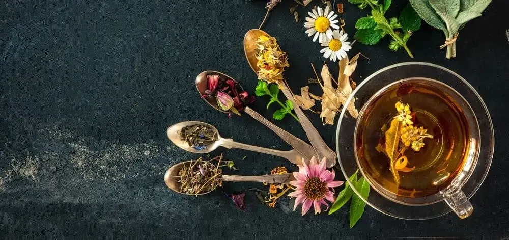 Cup With Different Tea Leaves