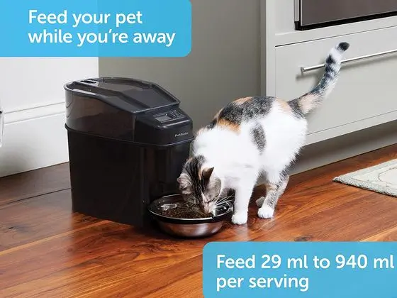 PetSafe Big Cat Food Dispenser