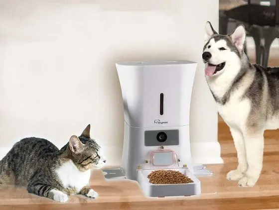 SkyMee Smart WiFi Cat Feeder With Dog