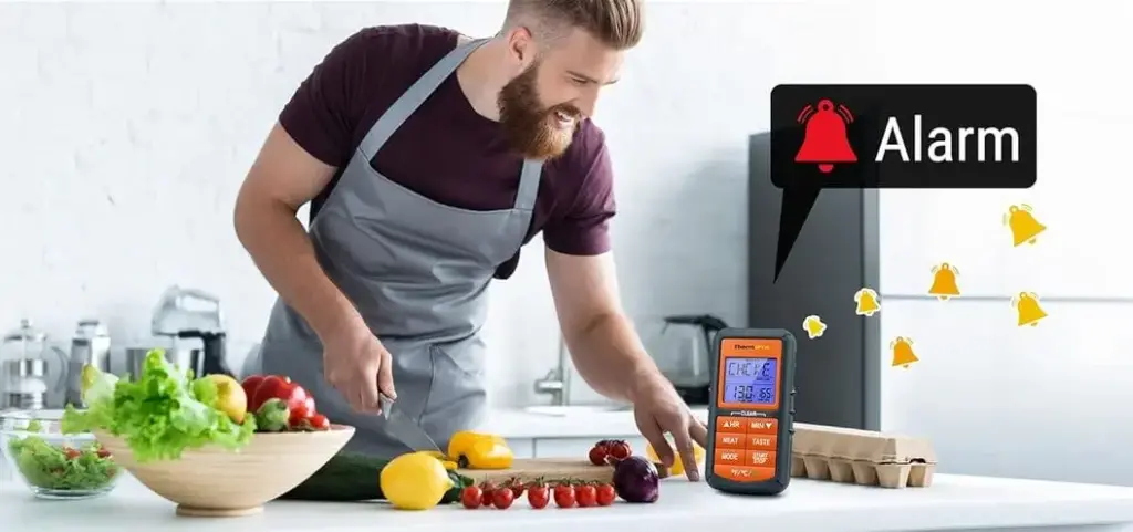 ThermoPRO Wireless Food Probe Thermometer With Chef