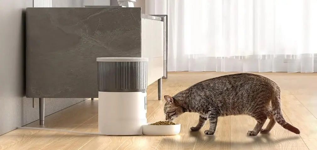 UIOOQ Automatic Cat Feeder Being Used