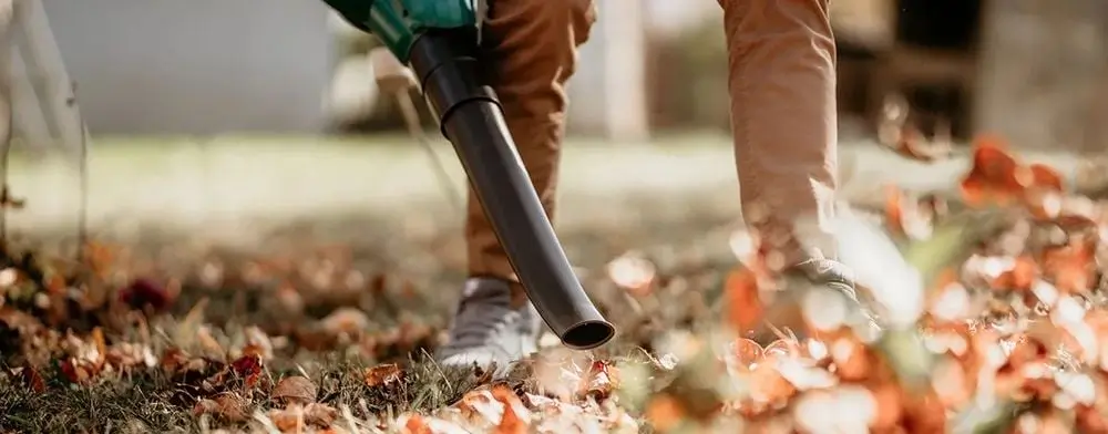 Powerful Cordless Leaf Blower