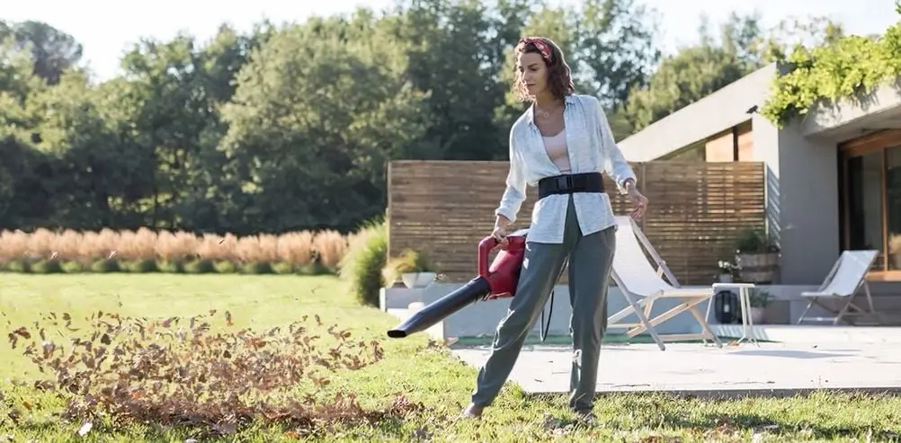 Cordless Leaf Blower Vacuum With Lady