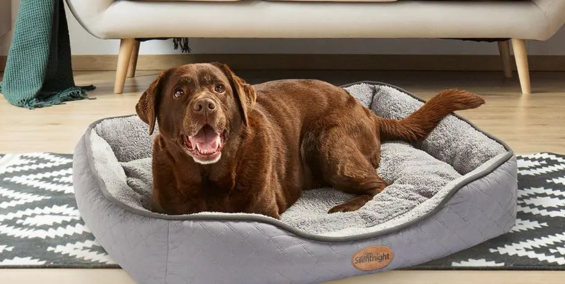 Cosy Fleece Dog Bed On Mat