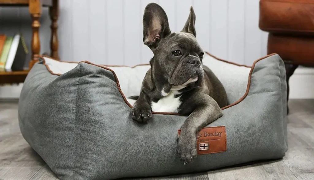 Faux Leather Dog Bed