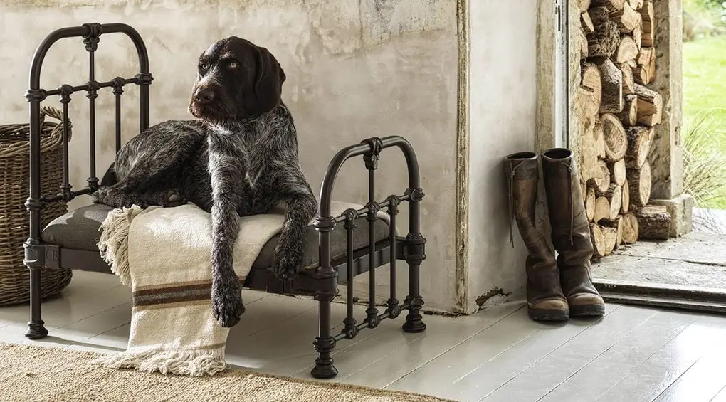 Orthopaedic Dog Bed On Legs