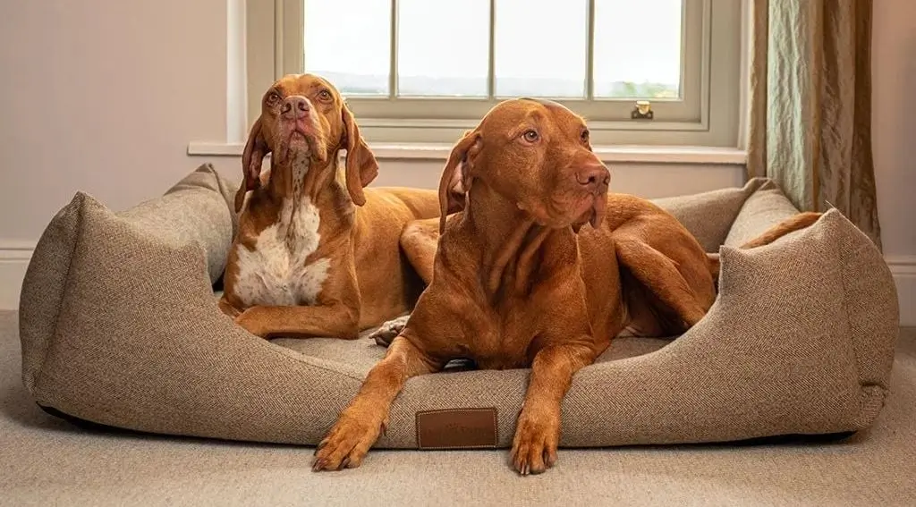 Anti Anxiety Dog Bed x2 Pets