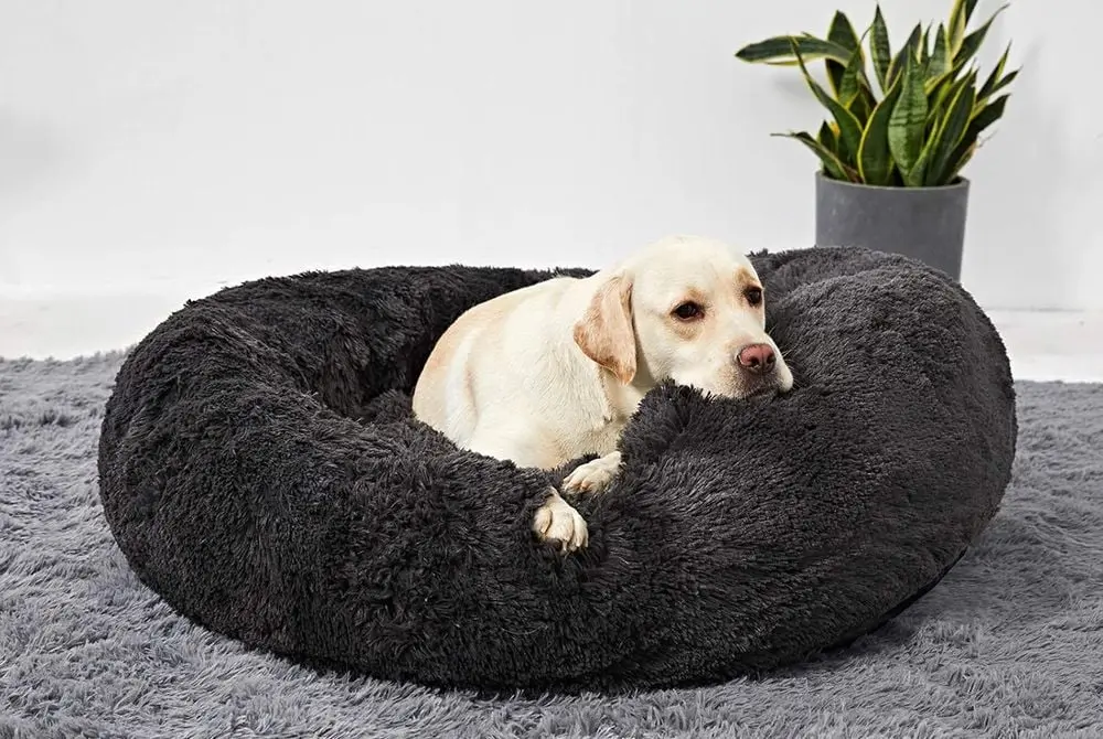 ANWA Large Dog Bean Bag Bed