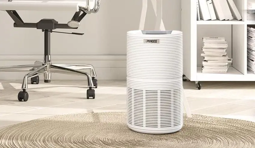 Princess Air Purifier For Pets In Office